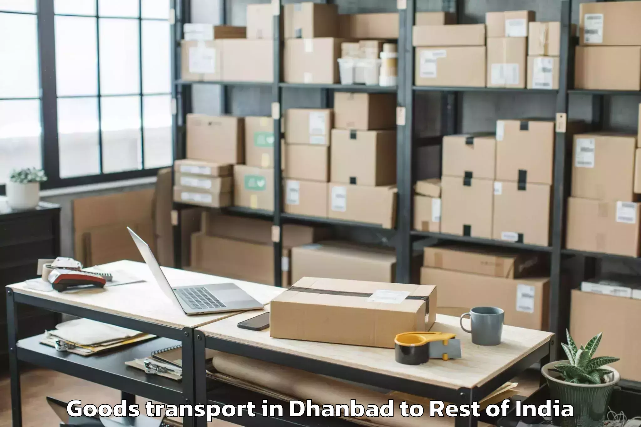 Leading Dhanbad to Srinagar Airport Sxr Goods Transport Provider